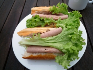 home-made-sandwich-1432123-m