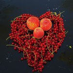 red-currant-855822_1920